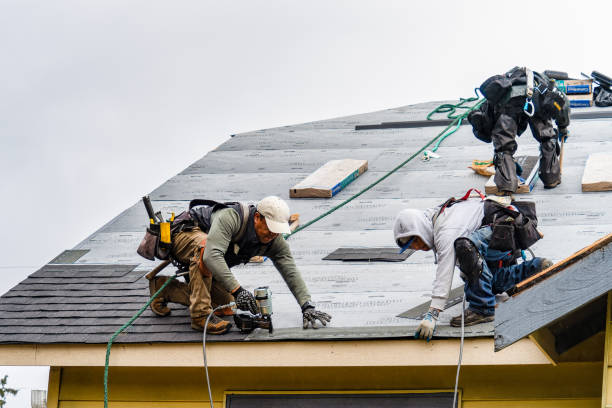 Professional Gutter Installation technician working in Ferrysburg, MI